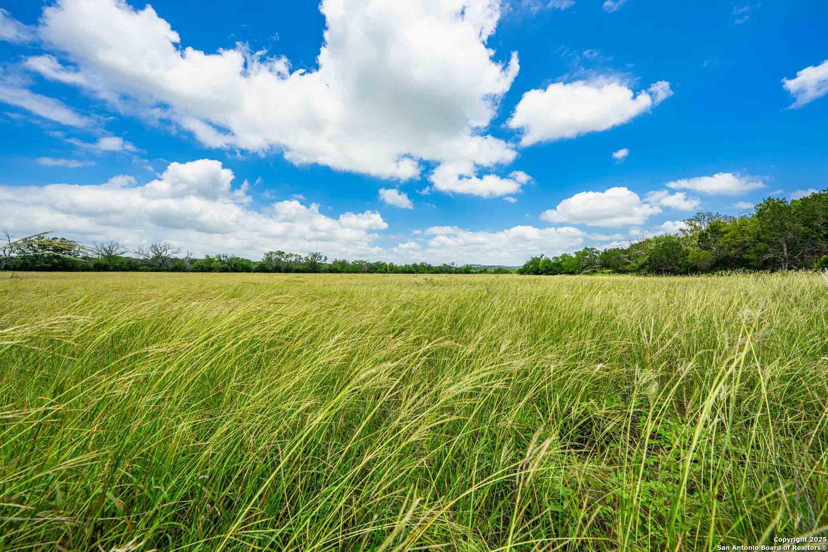 8 Cypress Creek Road Comfort TX 78013