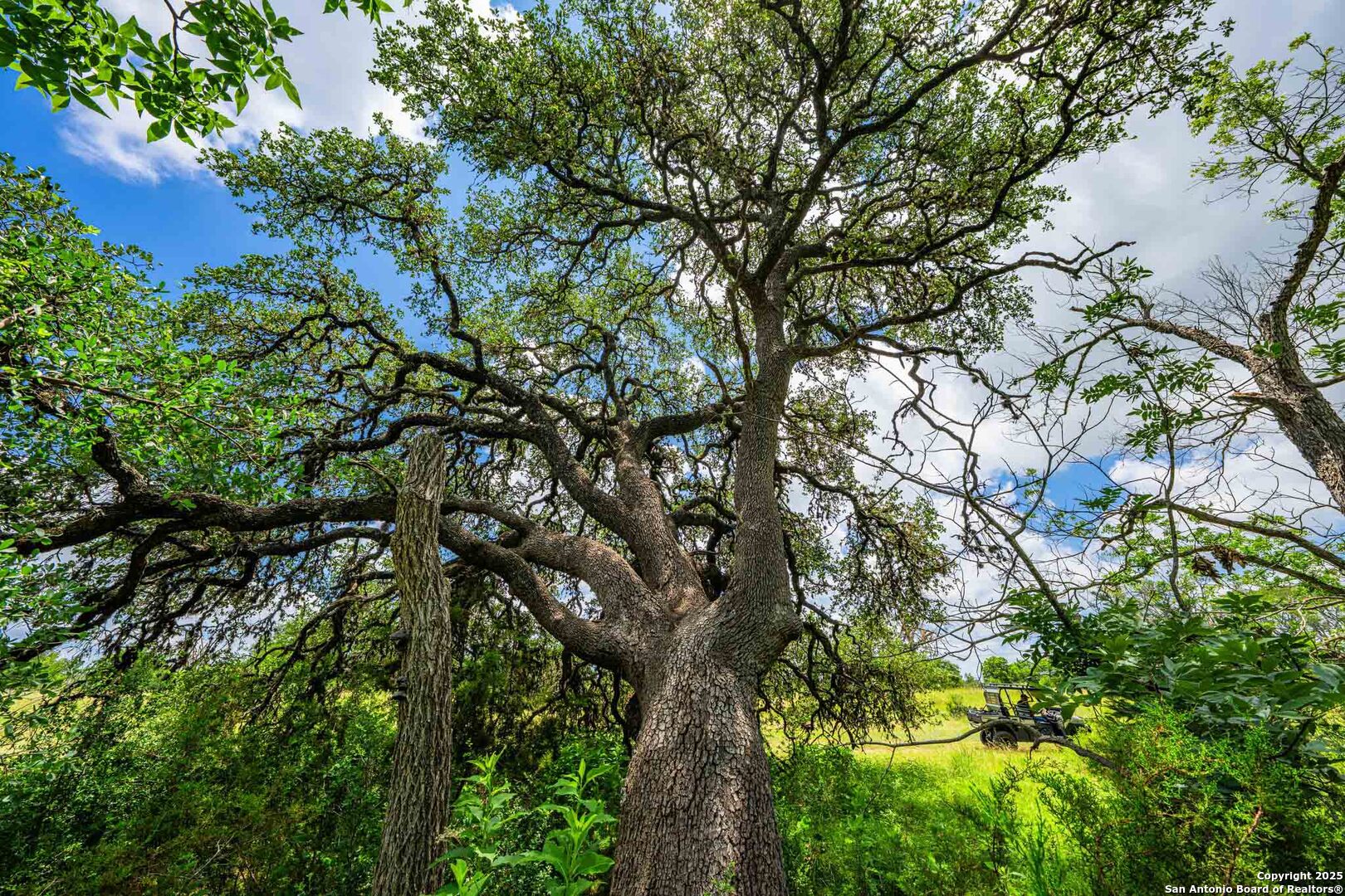 8 Cypress Creek Road Comfort TX 78013