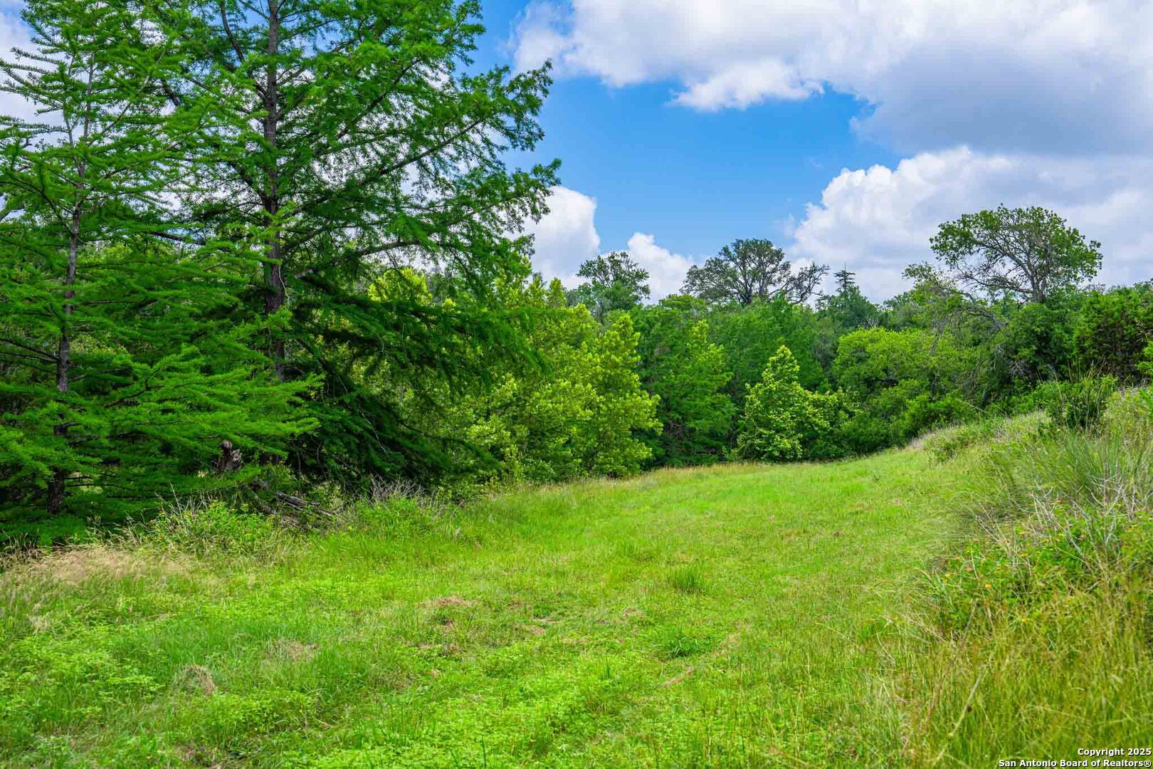 8 Cypress Creek Road Comfort TX 78013