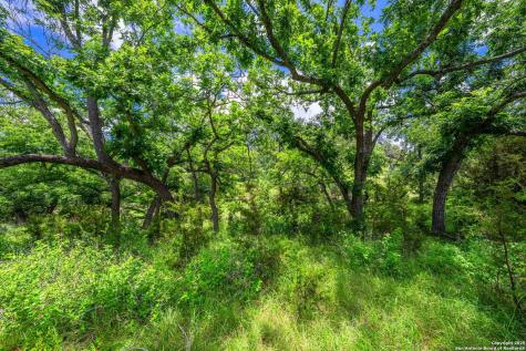 8 Cypress Creek Road Comfort TX 78013