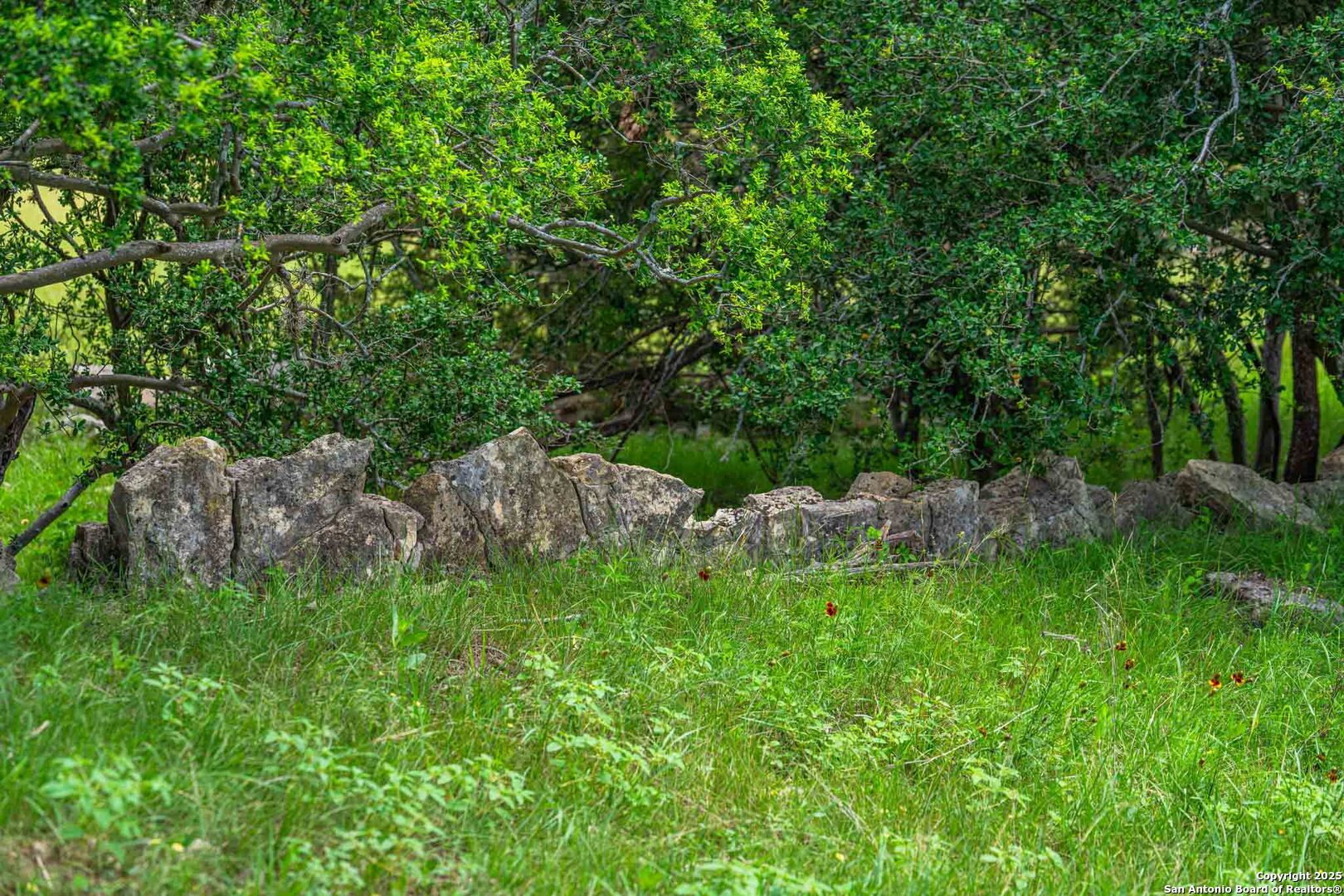 8 Cypress Creek Road Comfort TX 78013