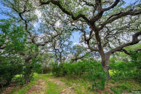 8 Cypress Creek Road Comfort TX 78013