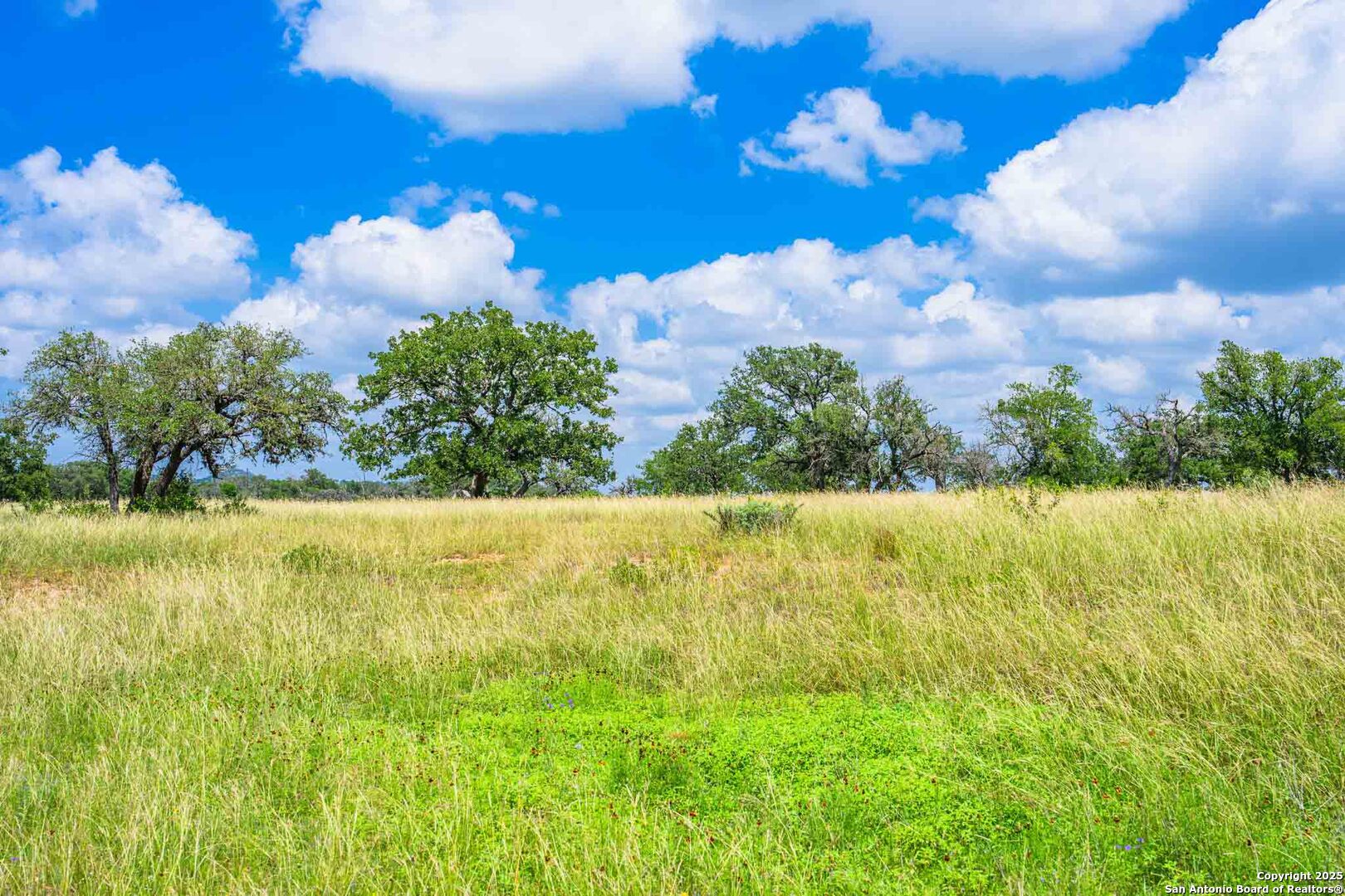 8 Cypress Creek Road Comfort TX 78013