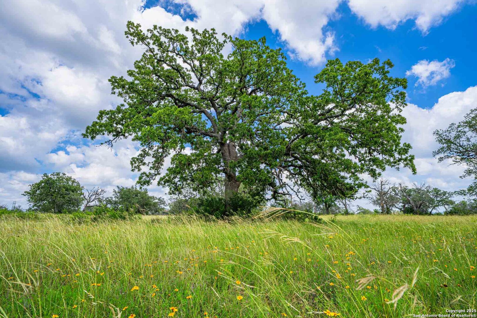 8 Cypress Creek Road Comfort TX 78013