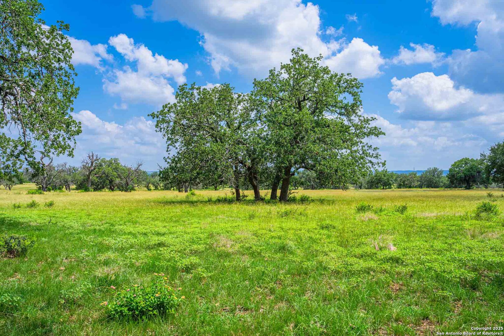 8 Cypress Creek Road Comfort TX 78013