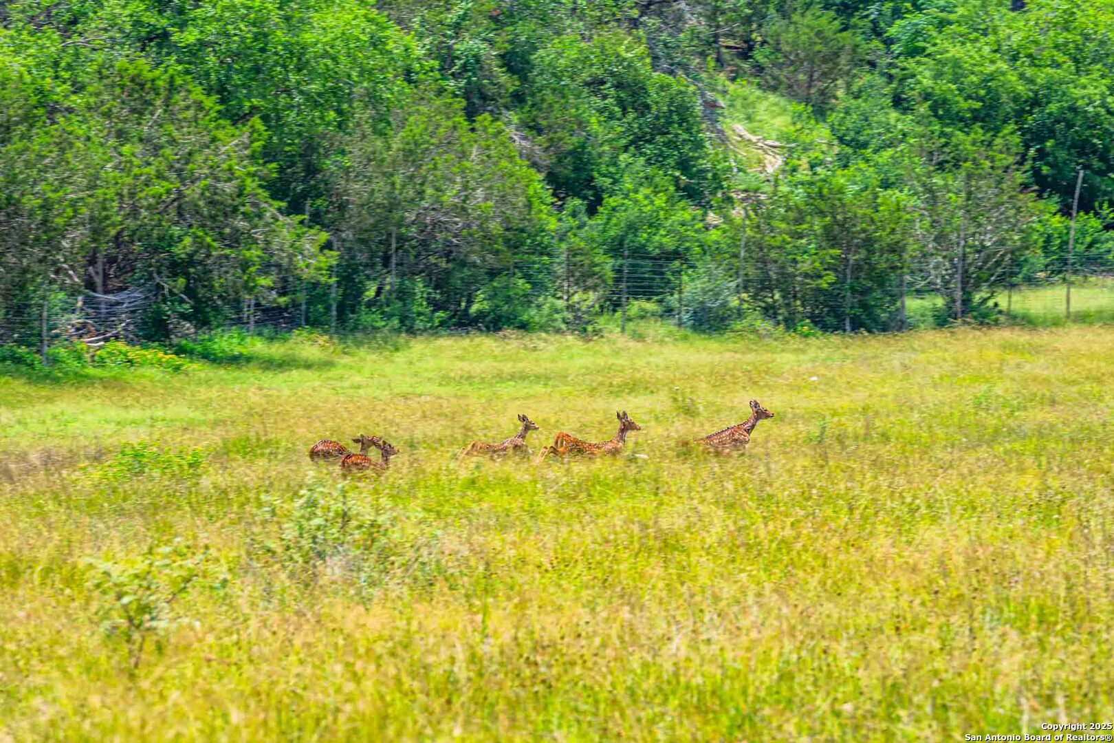 8 Cypress Creek Road Comfort TX 78013