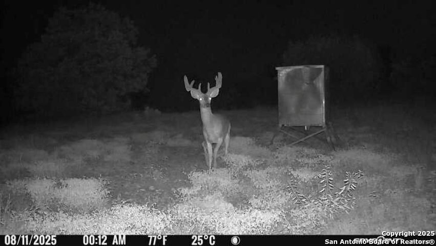 Tbd Sd 45453 Rocksprings TX 78880