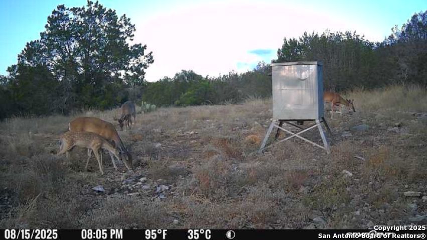 Tbd Sd 45453 Rocksprings TX 78880