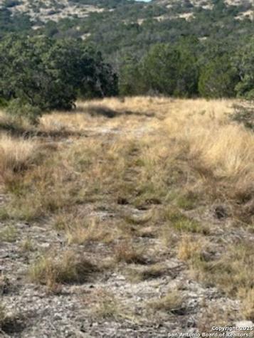 Tbd Sd 45453 Rocksprings TX 78880
