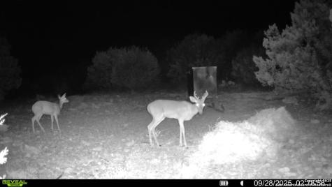 Tbd Sd 45453 Rocksprings TX 78880