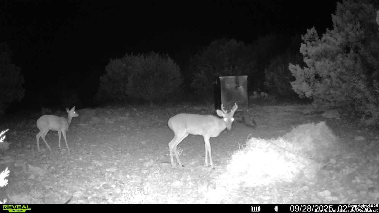 Tbd Sd 45453 Rocksprings TX 78880