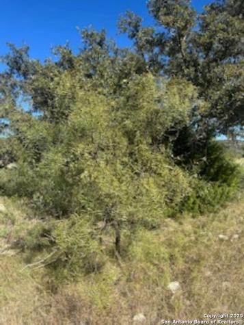 Tbd Sd 45453 Rocksprings TX 78880