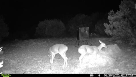 Tbd Sd 45453 Rocksprings TX 78880