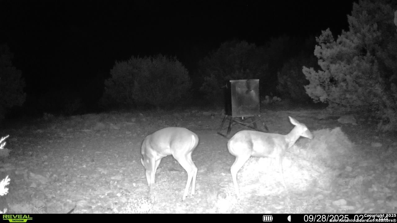 Tbd Sd 45453 Rocksprings TX 78880