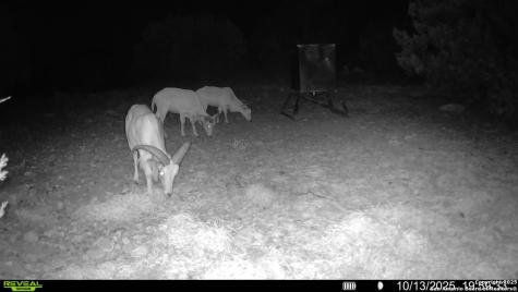 Tbd Sd 45453 Rocksprings TX 78880