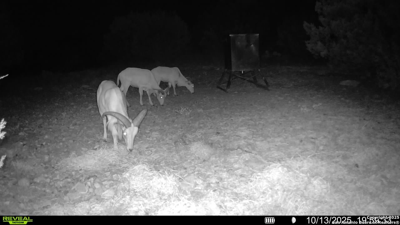 Tbd Sd 45453 Rocksprings TX 78880