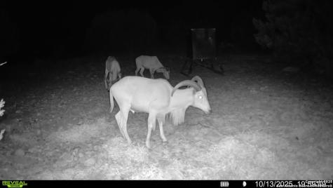 Tbd Sd 45453 Rocksprings TX 78880