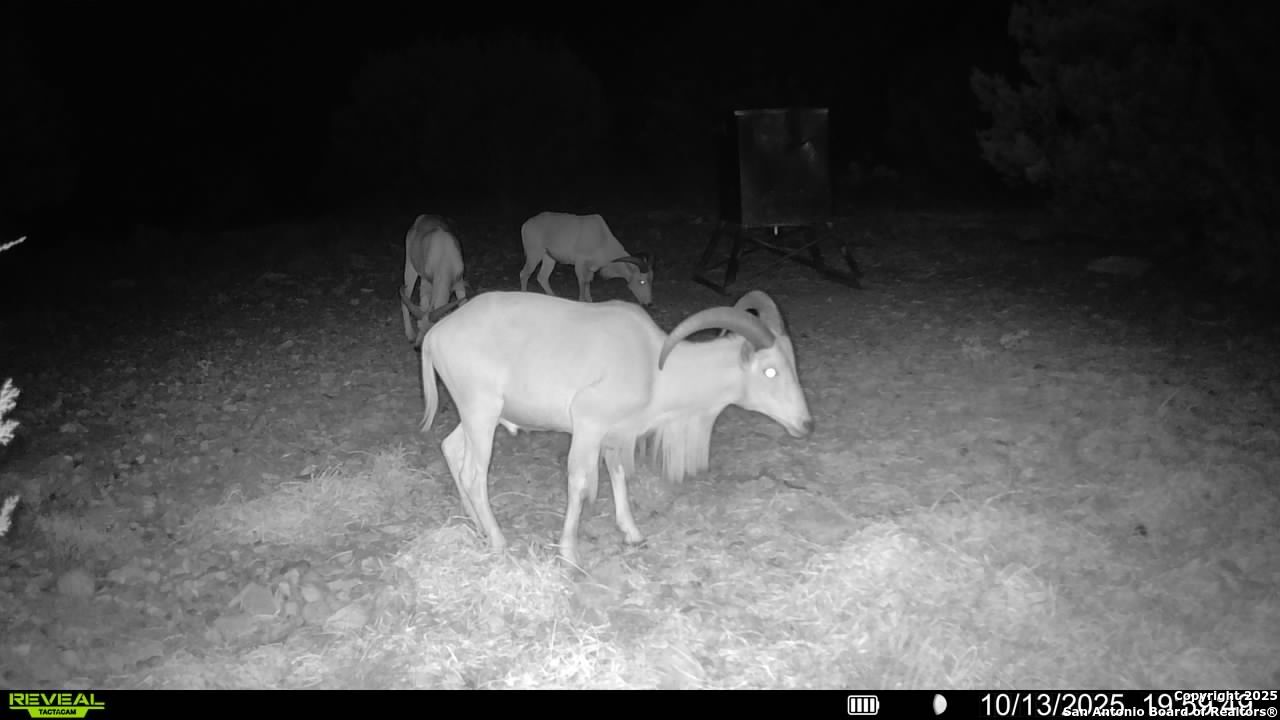 Tbd Sd 45453 Rocksprings TX 78880