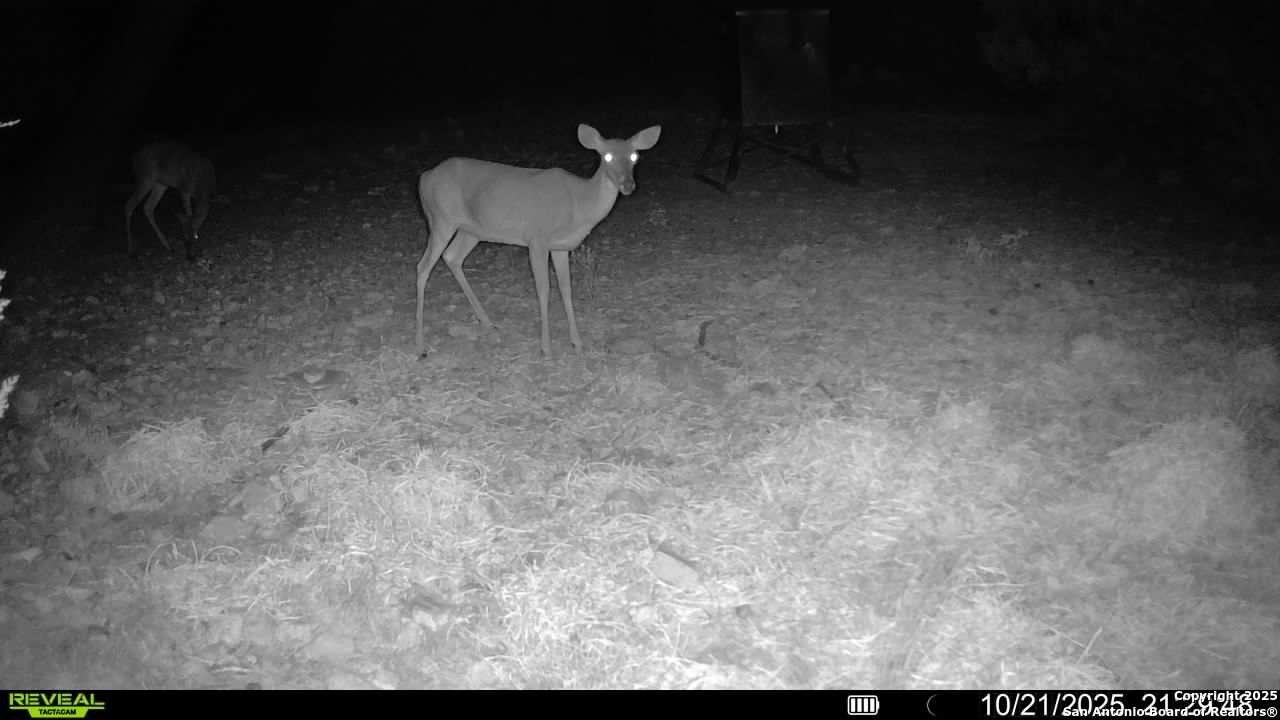 Tbd Sd 45453 Rocksprings TX 78880