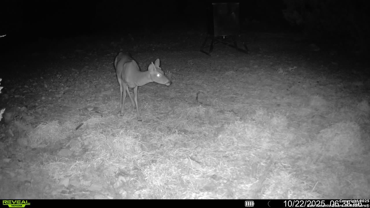 Tbd Sd 45453 Rocksprings TX 78880