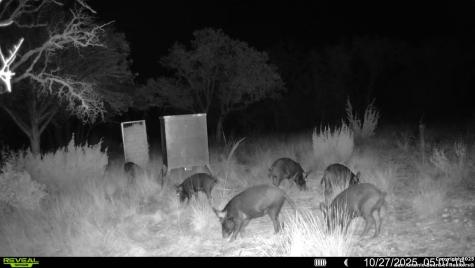 Tbd Sd 45453 Rocksprings TX 78880