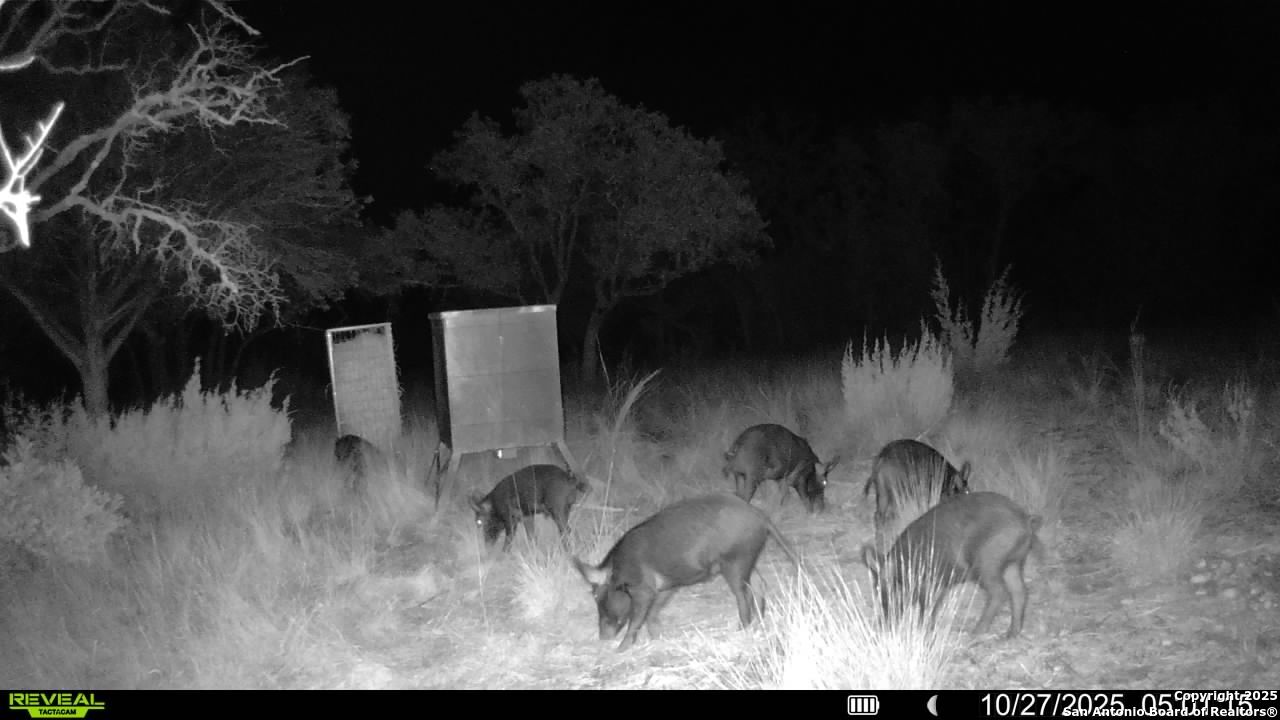 Tbd Sd 45453 Rocksprings TX 78880