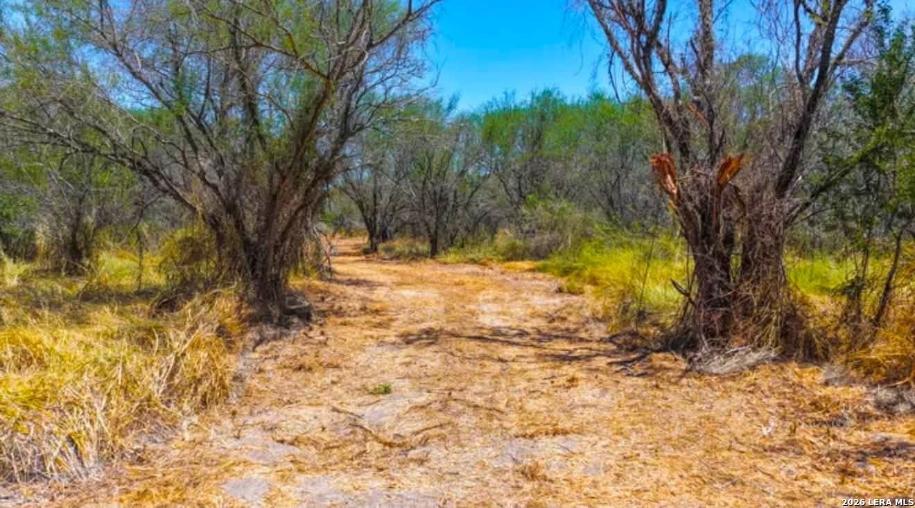 00 Farm To Market Road 1329 TX 78349