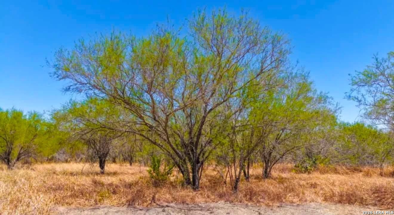 00 Farm To Market Road 1329 TX 78349