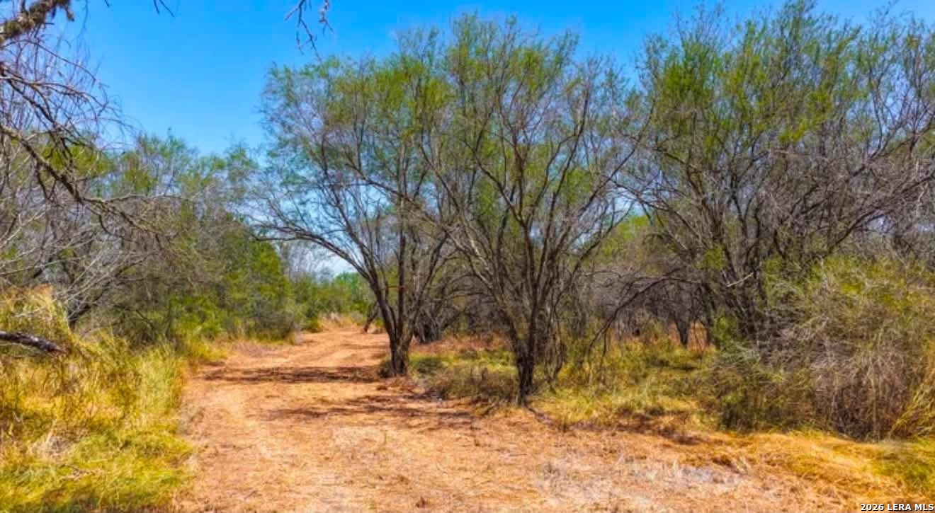 00 Farm To Market Road 1329 TX 78349
