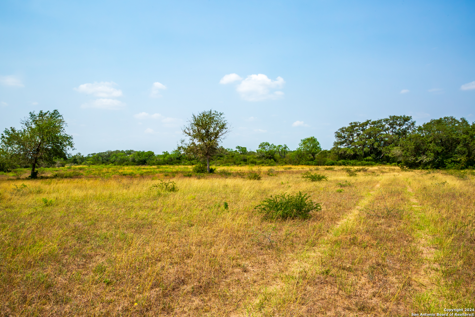 3698 Viggo Road Beeville TX 78102