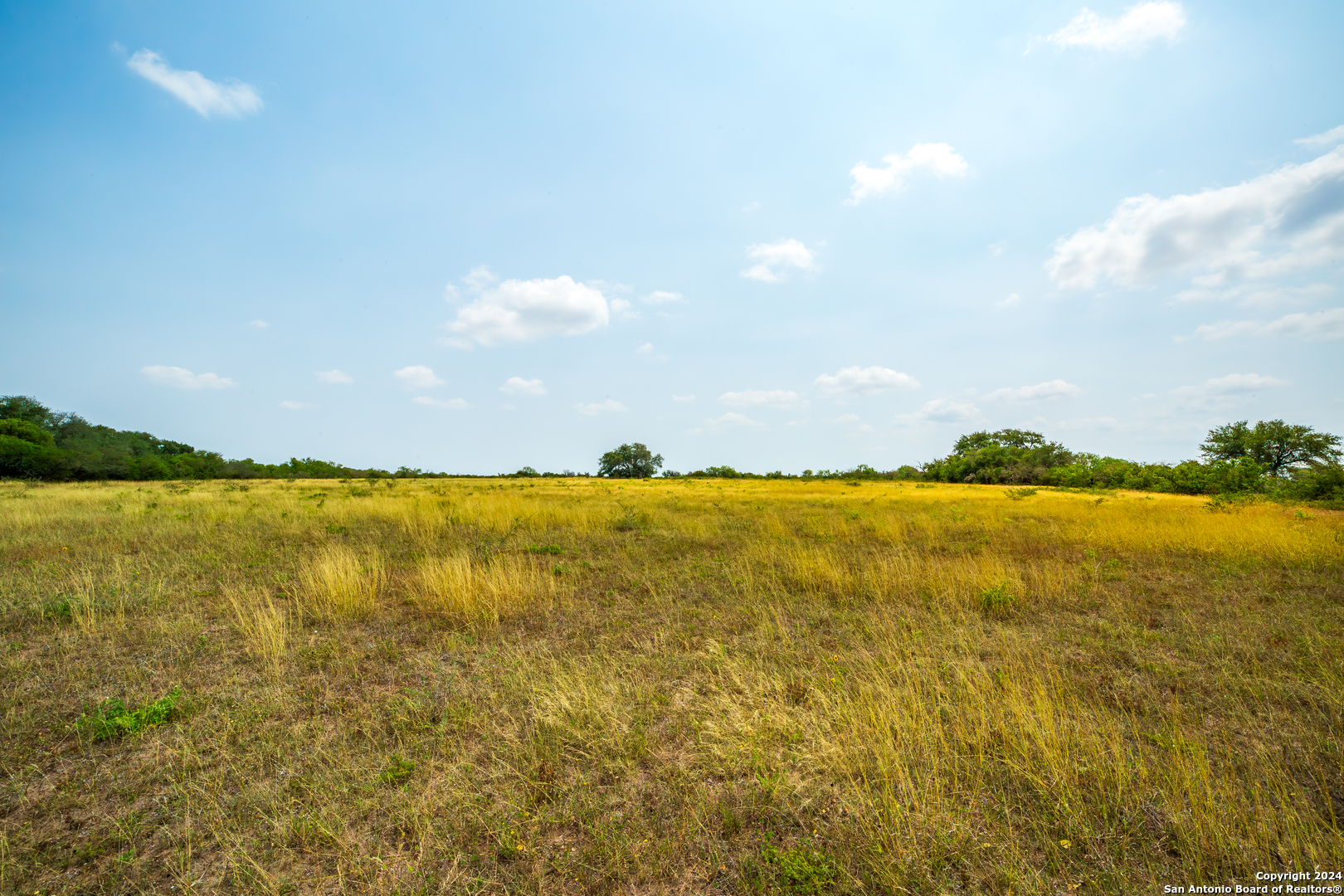 3698 Viggo Road Beeville TX 78102