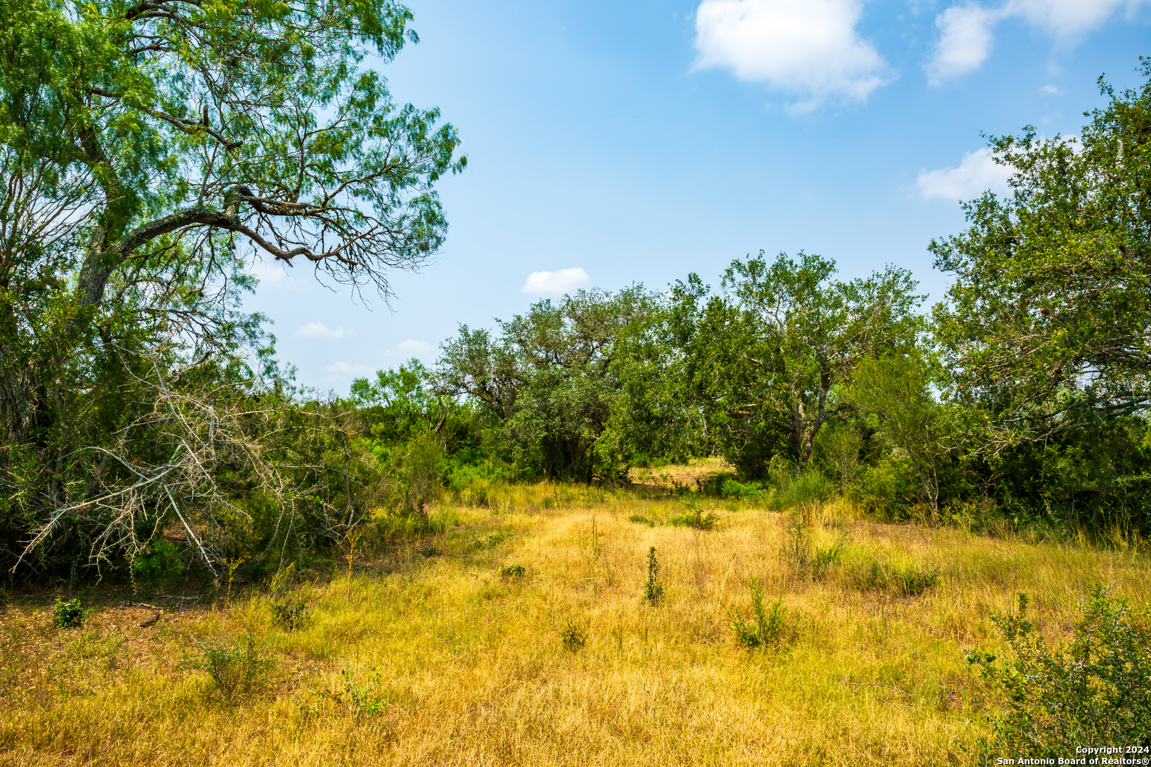 3698 Viggo Road Beeville TX 78102