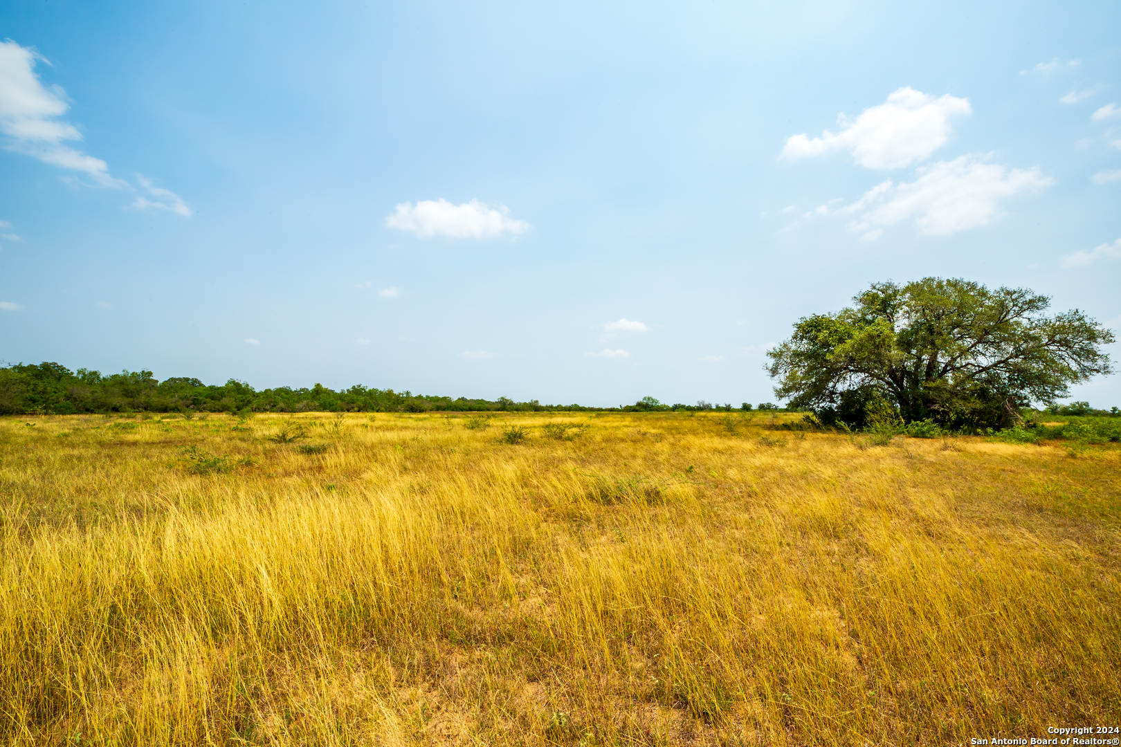 3698 Viggo Road Beeville TX 78102