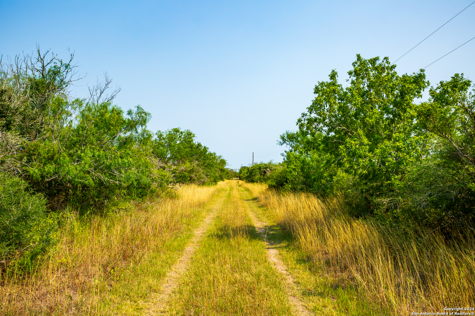 3698 Viggo Road Beeville TX 78102