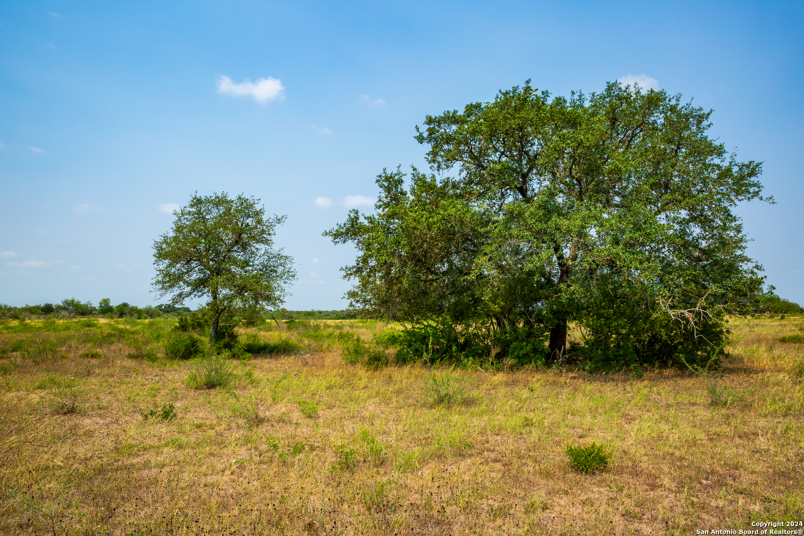 3698 Viggo Road Beeville TX 78102