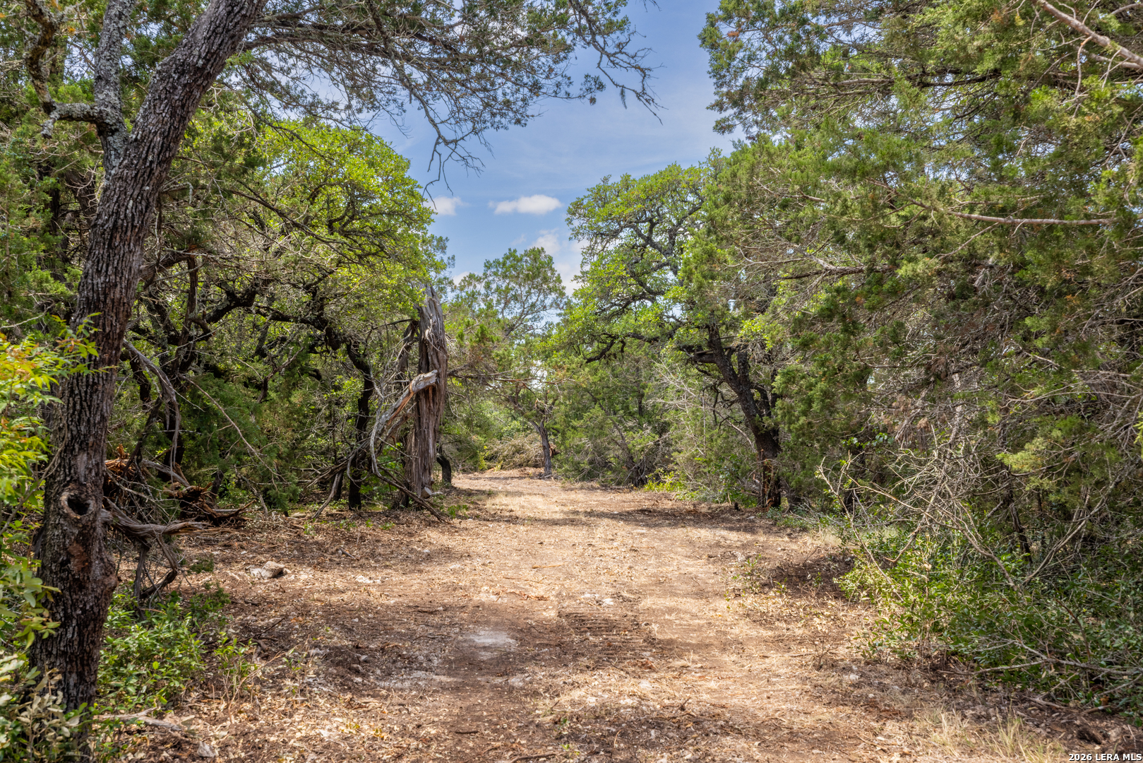 0 Cherry Creek Road Hunt TX 78024