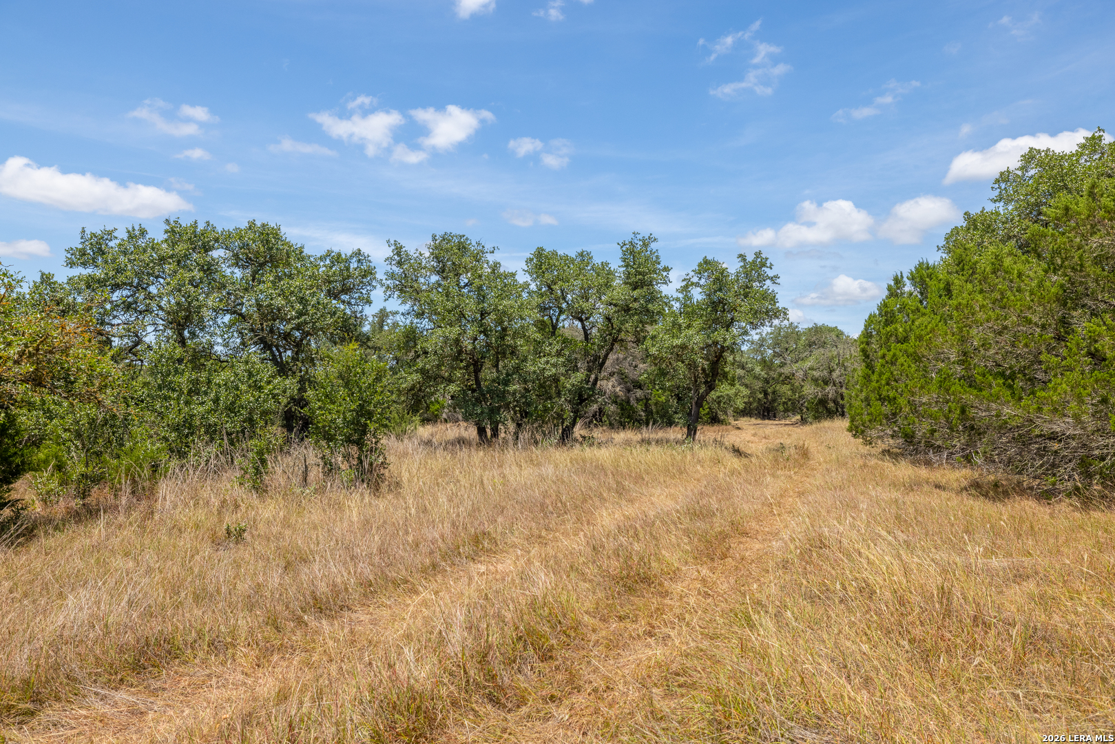 0 Cherry Creek Road Hunt TX 78024
