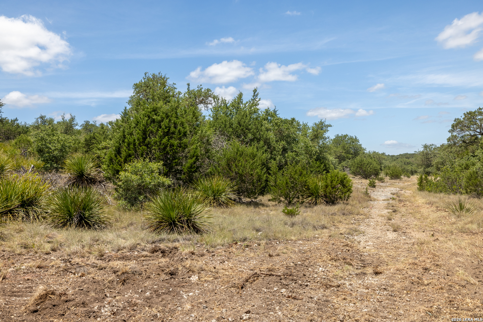 0 Cherry Creek Road Hunt TX 78024
