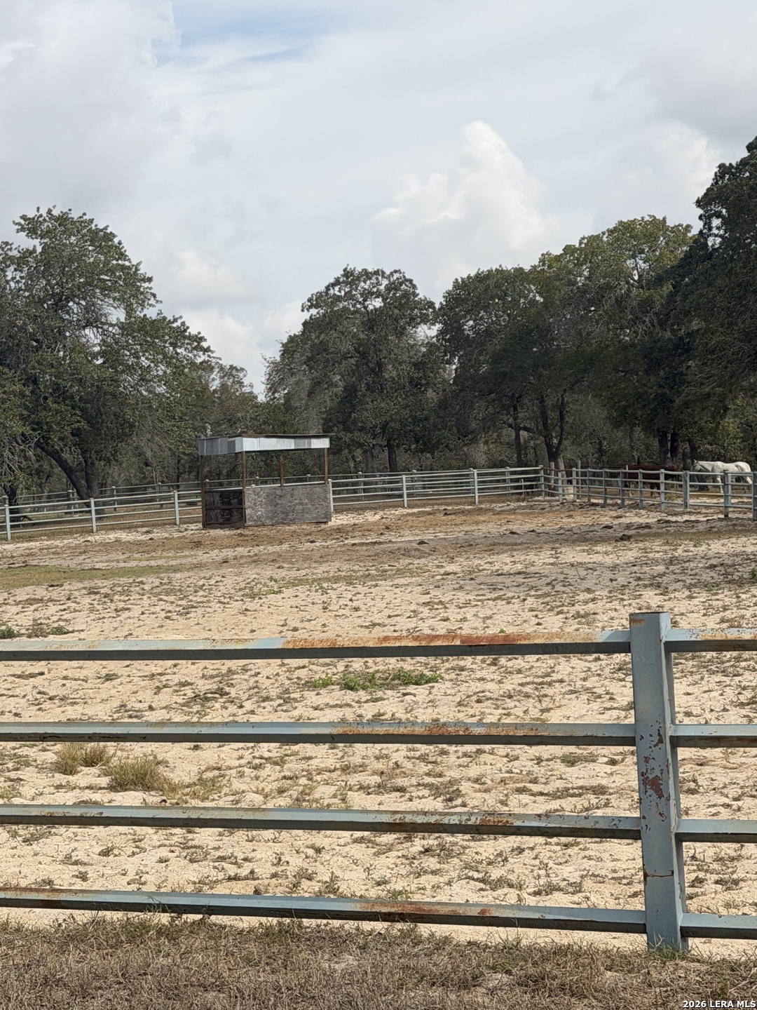 340 Shorthorn Stockdale TX 78160