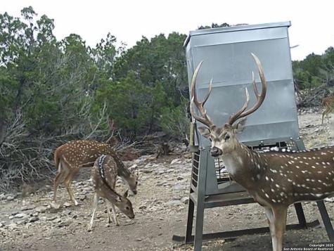 Tbd West Nueces Ranch, Lot 20 Rocksprings TX 78880