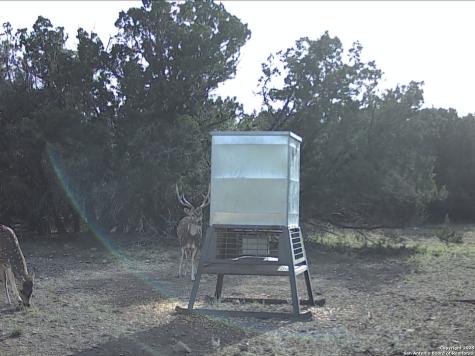 Tbd West Nueces Ranch, Lot 20 Rocksprings TX 78880