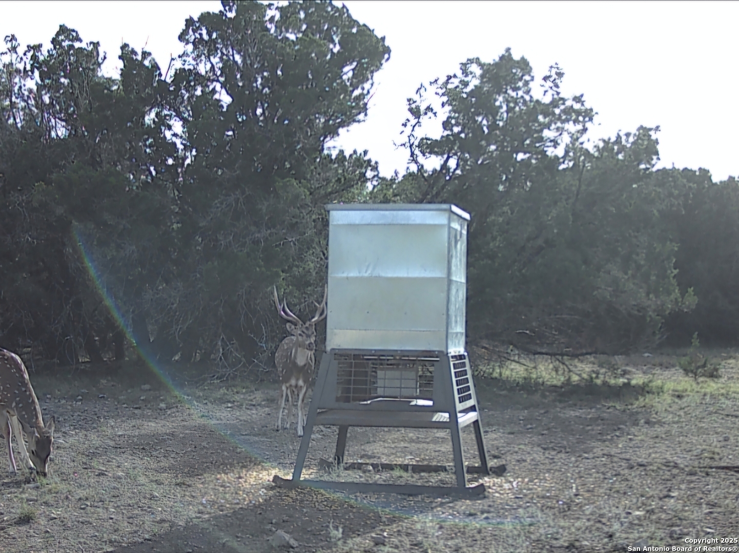 Tbd West Nueces Ranch, Lot 20 Rocksprings TX 78880