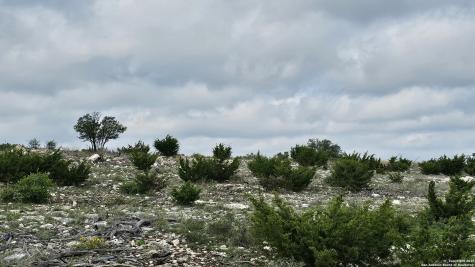Tbd West Nueces Ranch, Lot 20 Rocksprings TX 78880