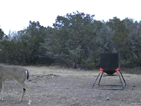 Tbd West Nueces Ranch, Lot 20 Rocksprings TX 78880