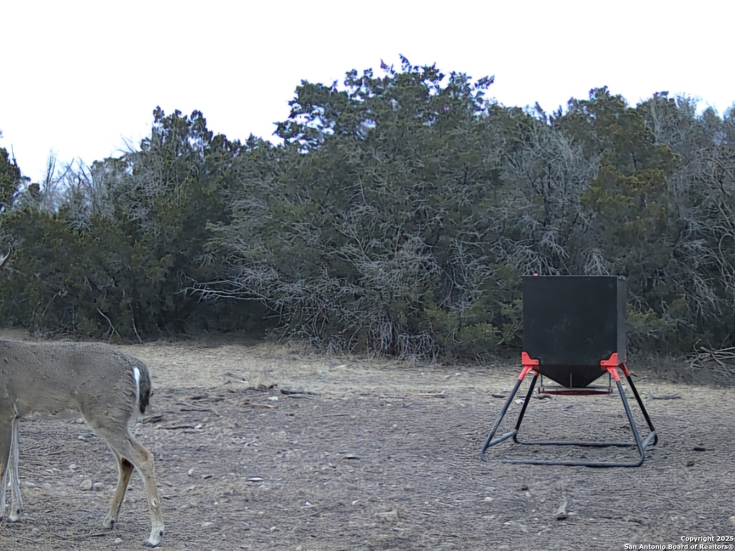 Tbd West Nueces Ranch, Lot 20 Rocksprings TX 78880