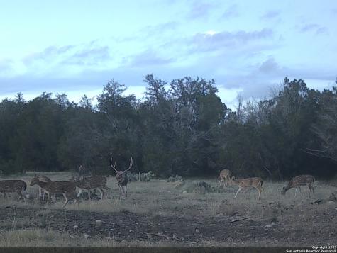 Tbd West Nueces Ranch, Lot 20 Rocksprings TX 78880