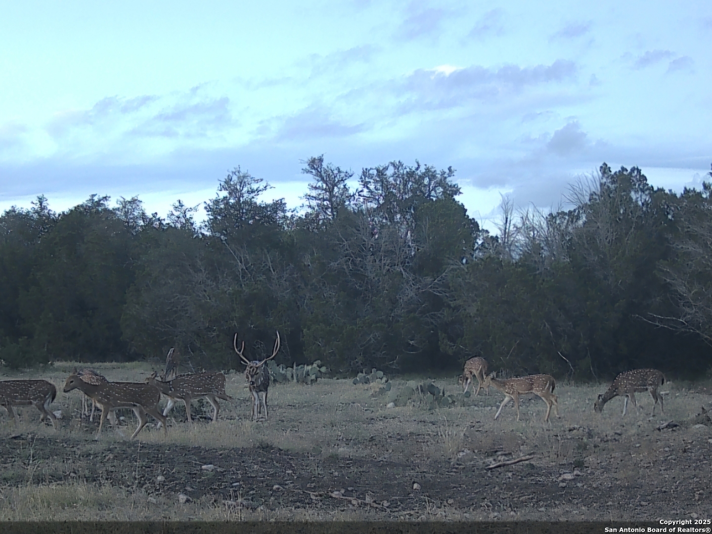 Tbd West Nueces Ranch, Lot 20 Rocksprings TX 78880