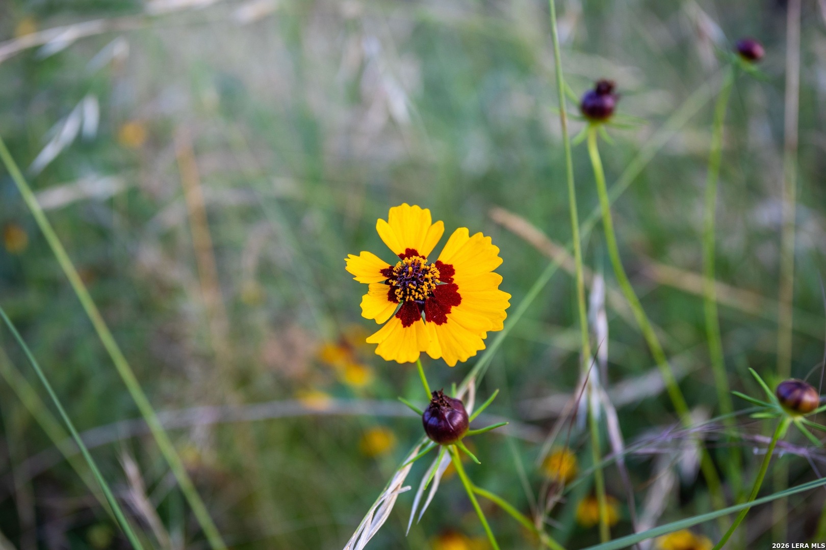 Tbd Broke O Llano TX 76885