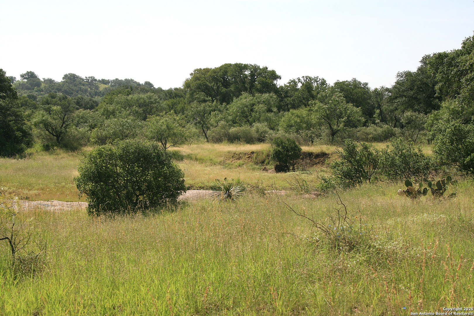Tbd Cr 113a Llano TX 78634