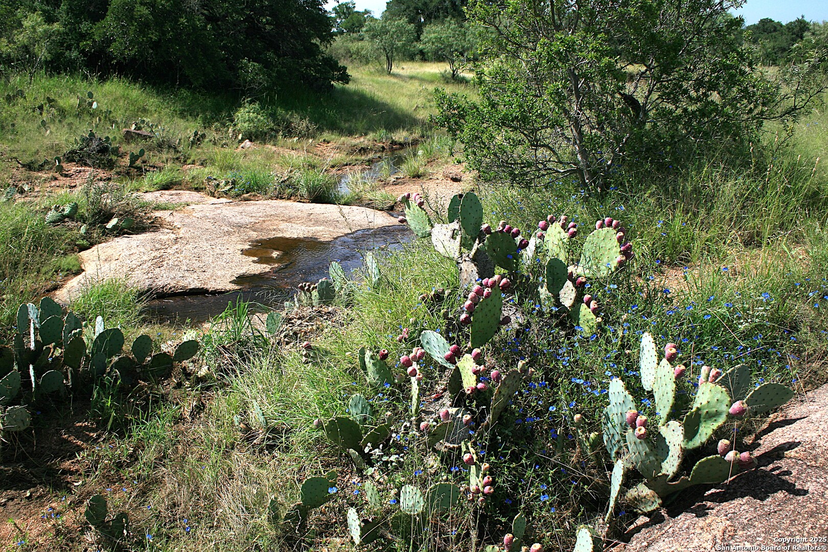 Tbd Cr 113a Llano TX 78634